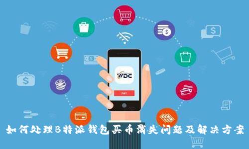 如何处理B特派钱包买币消失问题及解决方案