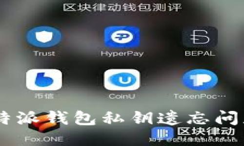 如何应对B特派钱包私钥遗忘问题：全面指南