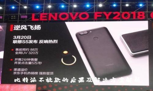 比特派不放款的后果及解决方案解析