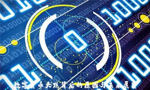 
数字货币大跌背后的原因与未来展望