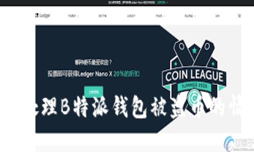 如何处理B特派钱包被盗币的情况？