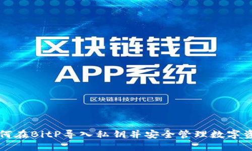 如何在BitP导入私钥并安全管理数字资产