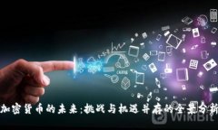 加密货币的未来：挑战与机遇并存的全景分析